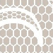 Lace Detail